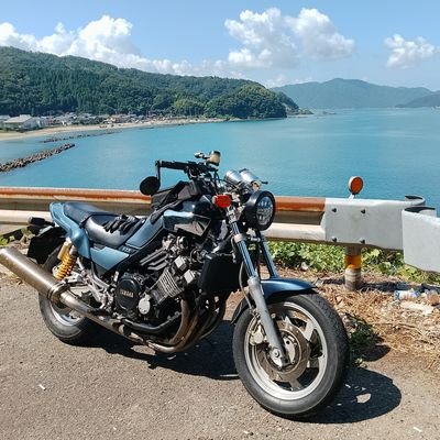 pagos (pagos_fzx@) / X