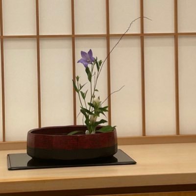 精神分析家、IPA会員、日本精神分析協会訓練分析家、神宮前で個人開業。落語、俳句、鮨を愛す。/精神科専門医/『精神分析という営み』『集中講義・精神分析上・下』『落語の国の精神分析』/上智大学名誉教授/小寺記念精神分析研究財団理事長/俳誌「鷹」同人、俳人協会会員、「寝床落語会」会員、日本文藝家協会会員。