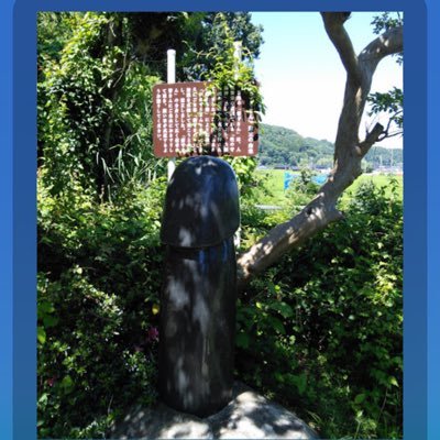 shirukoma210's profile picture. 