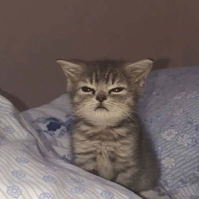 maybegrxce_iiii's profile picture. #nuthong #perthsanta #forcebook #juniormark #kengnamping #tlefirstone #greatinn