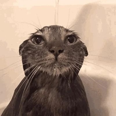 carelessf3ver's profile picture. high of life✌🏾