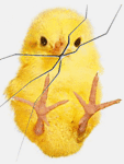 ♥ 3D ♥ Video ♥ Music ♥ Animation ♥ Stereoscopic