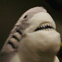 寛恕 (@mishima_yukiyo) 's Twitter Profile