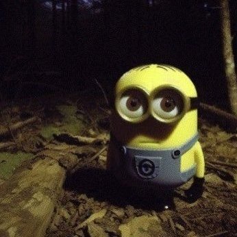 vikramcosm's profile picture. not financial advice, but probably a mistake anyway