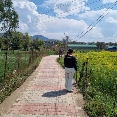 @janhavi2293