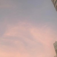 comamico (@comamicoo) 's Twitter Profile