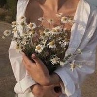 Iswecox (@iswecox06269) 's Twitter Profile