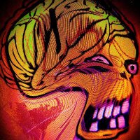DogeDesigner (@designer46495) 's Twitter Profile