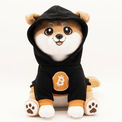 Solana & Eth NFTs
BTC Ordinals
Entrepreneur
Crypto educator