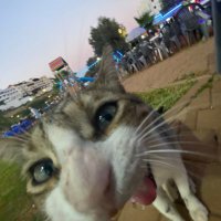 🩵. (@idjisnarrif) 's Twitter Profile Photo 🩵. (@idjisnarrif) 's Twitter Profile Photo