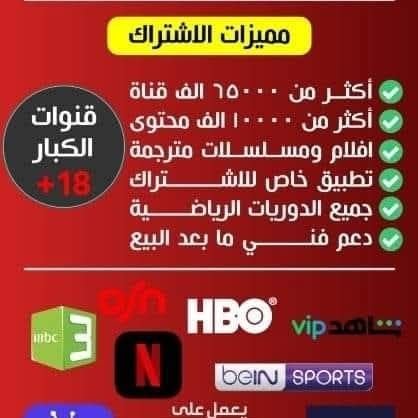 Elaraby498390's profile picture. 