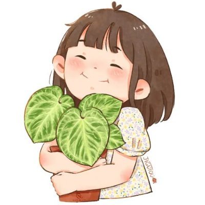 私は台湾出身の独身女性で、盆栽🌿🌿は仕事の合間に楽しむ私の小さな宇宙です。
同じ趣味を持つ友人たちと一緒に、盆栽に関することや日常の面白い出来事を語り合い、共有し、交流できれば嬉しいです。
ぜひフォローしてください。どうぞよろしくお願いします。ありがとうございます🌿🌿🌱🌱