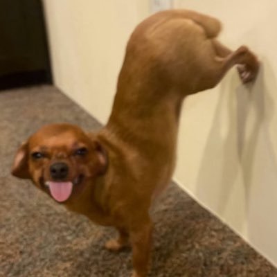 jijiji6626's profile picture. 