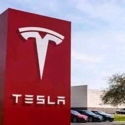 Management Team for Elon Musk 🚀🚗