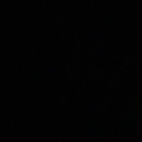ThatDudeWins (@timesharetime) 's Twitter Profile