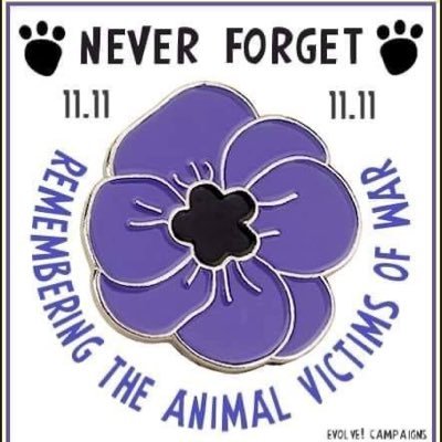 A4Dent's profile picture. “If I hadn't seen such riches I could live with being poor” 🇬🇧 Under PR vote Green under FPTP vote to #GTTO ⓥ 🌱