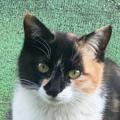 odaDzYLtRcVefFg's profile picture. 埼玉のトラック運転手です。無言フォロー歓迎です。 気軽にからんでください😊