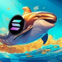 SOL WHALiEZ (@solw_hale) 's Twitter Profile