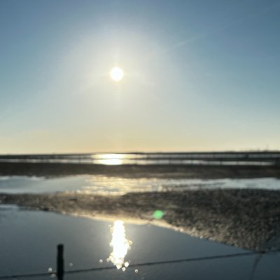 Dtmsimonlin's profile picture. Food Cook and Travel!