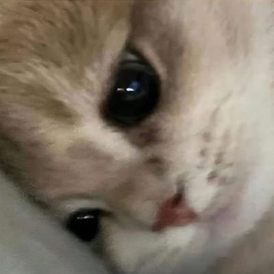 mee_n9999's profile picture. 