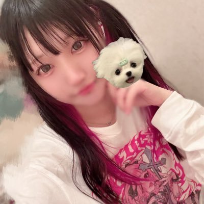 oinusama_wan2xx's profile picture. ポケポケ︎︎♥︎︎美容、音楽etc..♡犬のましゅまろ(4月24日生まれのチワプー♂６歳)飼ってます🫶🏻 おいぬ様の写真は無差別いいねします❤︎