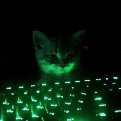 Web Application Penetration Tester ( Bug bounty hunter)