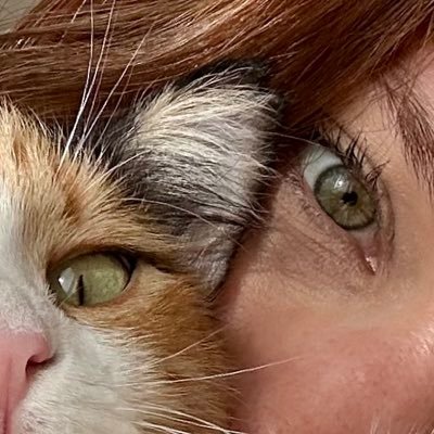 selin🐱🐾 Profile