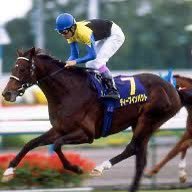 プイかわいい (@puipui_cute) 's Twitter Profile Photo