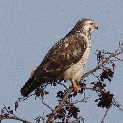 gerard26563's profile picture. Nature photography