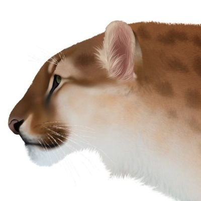 IsaacOWJ Profile