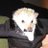 youah22m's profile image
