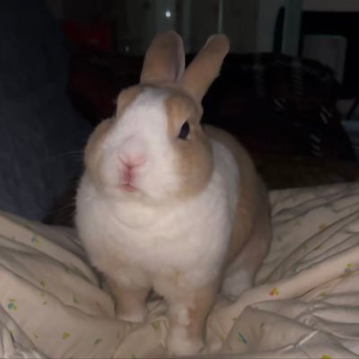 miyudn381543's profile picture. 捞女爱钱喜欢黄色