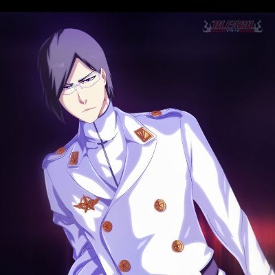The last of the Quincy that joined his kind, Stenritter A, the Antithesis.
Mun 34 Ishida 19
#BleachRP #AnyRP #MVRP #NSFWRP