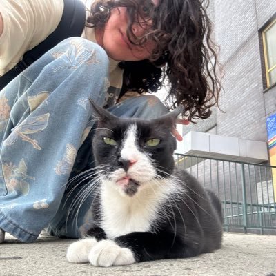 Cammachino's profile picture. BBCF Noel enjoyer. “Pick a Drive and Pray” Gwen for 2XKO. 💙 🏳️‍🌈🇵🇷