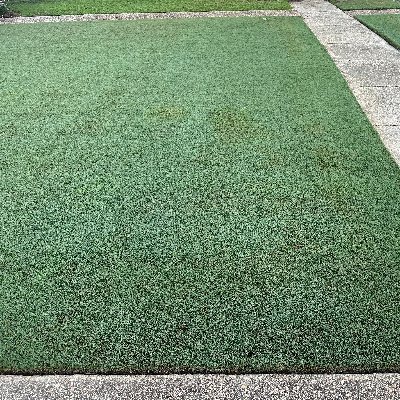 Jeffersonian88's profile picture. Pictured: MaryHill Vineyard, Columbia River Gorge, WA 19 June 2019