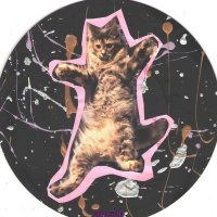 rōckǝ𝕥 ‧₊˚🛹 powë𝕣 (@rocketpowwz) 's Twitter Profile
