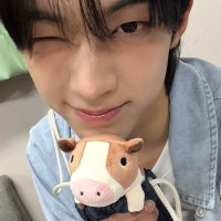 haze 📷 #ThankYouHarryJune (@yudomai) 's Twitter Profile Photo haze 📷 #ThankYouHarryJune (@yudomai) 's Twitter Profile Photo
