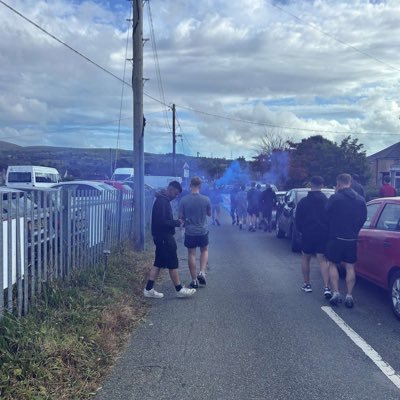 harriwyn1's profile picture. 