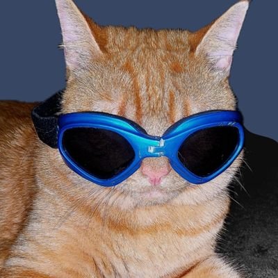 CoutinhoGabri's profile picture. CRF