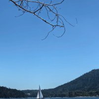 CHP1008611 (@chp1008611) 's Twitter Profile