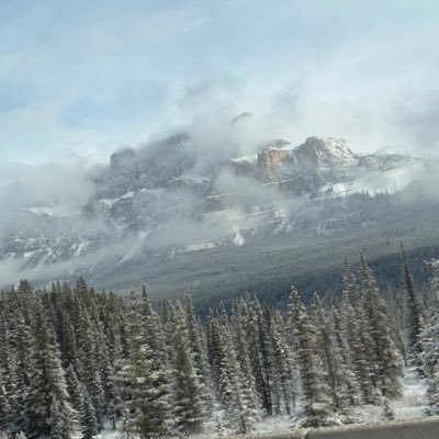 matthew18258753's profile picture. 