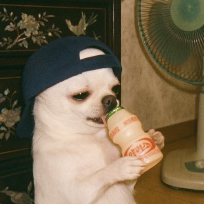 fernanda_pascal's profile picture. 
