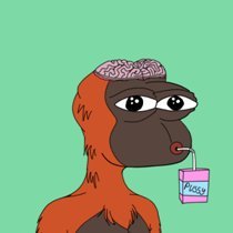 404_Soju's profile picture. UX designer 
I retweet things I don’t understand.