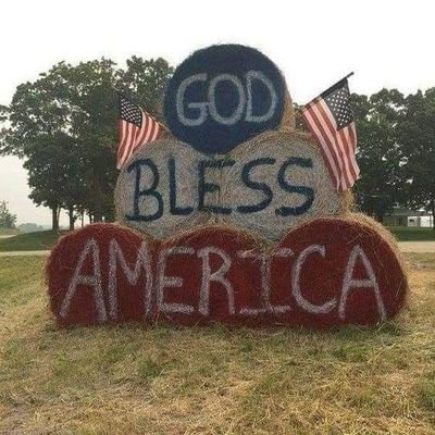 tedd53478's profile picture. 