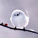 EllyllTT's profile picture. I never stay on Twi... X long. I probably won't now, but I must have gotten curious again.