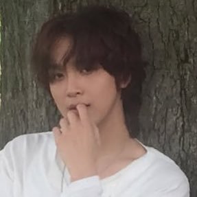 20yo✨🌻sunflower for the one and only sun Lee Haechan☀️forever a long hair wooyoung enthusiast ☔️ xerces🦋 TASTE🩷