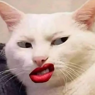 thekiet90's profile picture. 