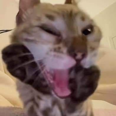 Inotknow234's profile picture. 