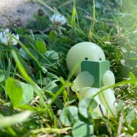 basil (@lil_basil_leaf) 's Twitter Profile