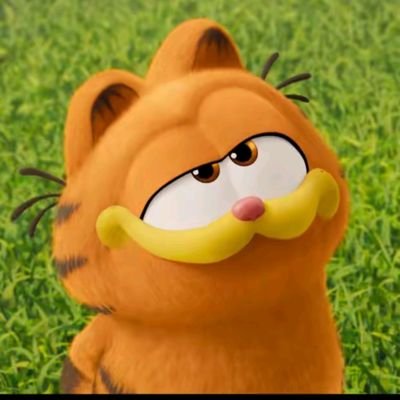 galga65's profile picture. cat/nikki